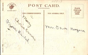 A Joyful Christmas Greetings, Snow Pine Branch Embossed Clapsaddle Postcard N56