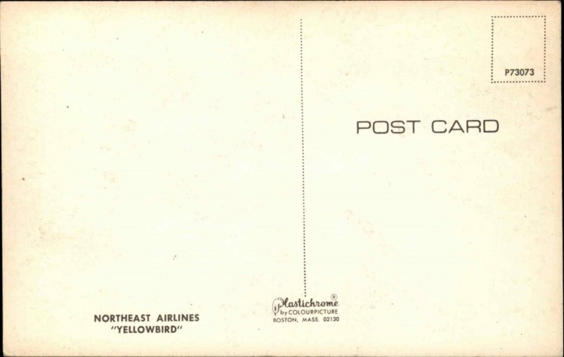 Northeast Airlines Yellowbird Jet Airliner Airplane Ad Advertising Postcard