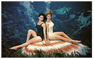 Weeki Wachee Mermaids Florida Postcard Sitting on a Shell Underwater 1975