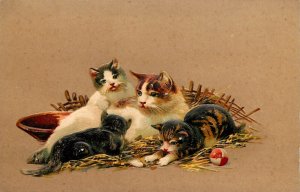 Embossed Postcard PFB Series 8672 Four Kittens Cats Tabby Orange White