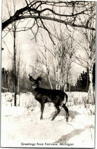 RPPC Greetings from Fairview MI, Deer in Snow Vintage Postcard P29