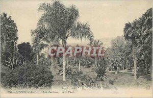 Old Postcard MONTE CARLO. The gardens