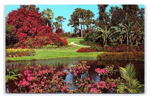 Lake Eloise Cypress Gardens Florida Postcard America's Tropical Wonderland