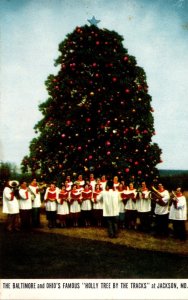 Maryland Jackson Baltimore and Ohio's Famous Holly Tree By The Tracks