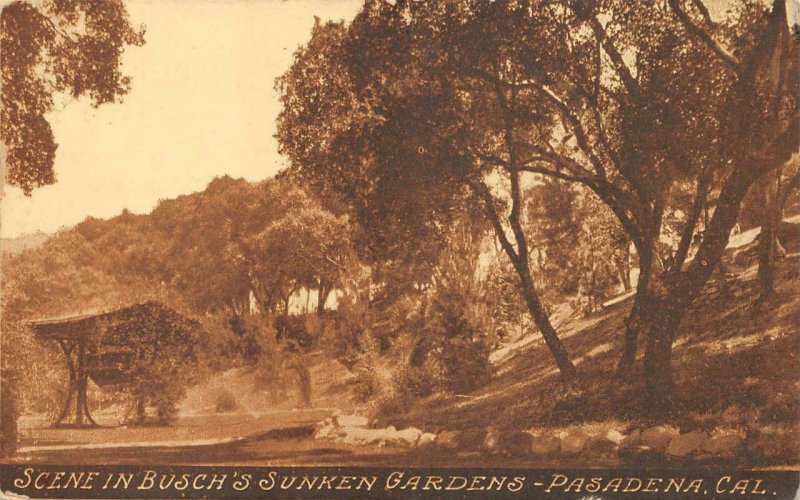 Scene in Busch's Sunken Gardens, Pasadena, California ca 1910s Vintage Postcard