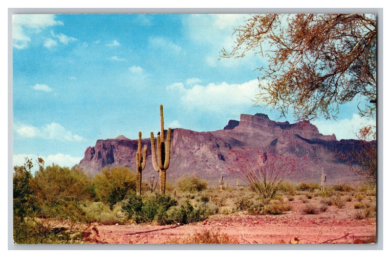 Postcard AZ Superstition Mountain Arizona Cactus Vintage Standard View Card 