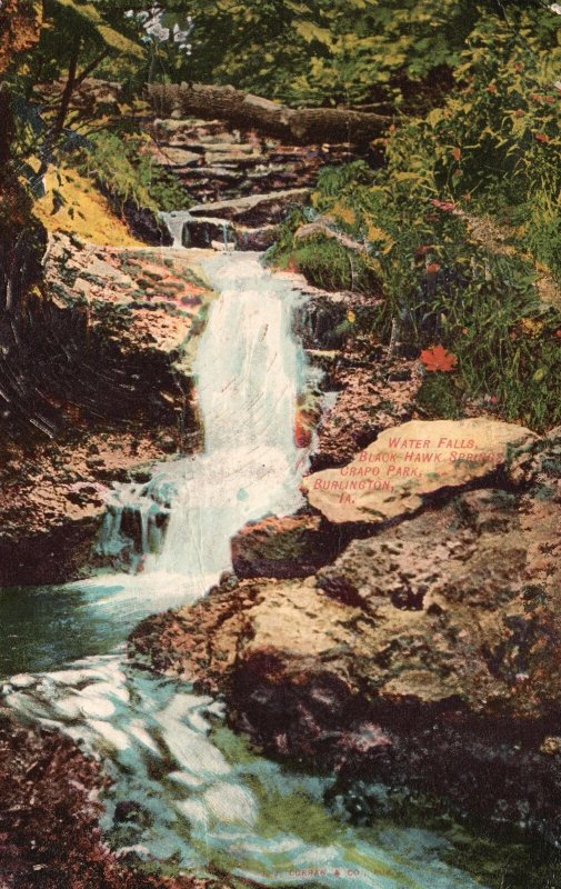 Vintage Postcard 1906 Water Falls Black Hawk Springs Crapo Park Burlington Iowa