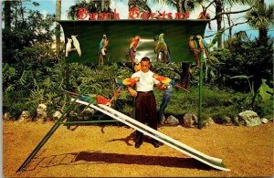 Florida Tampa Busch Gardens Rich Naegeli Bird Trainer With Beautiful Macaws 1963