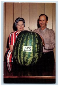 1969 World's Largest Giant Watermelon Grown at Hope Arkansas AR Postcard