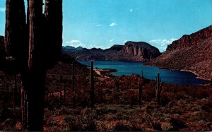 Arizona Grand Canyon Canyon Lake As Seen From Apache Trail