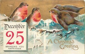 Embossed birds winter seasonal scenic fantasy Christmas greetings postcard 1911