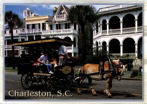 South Battery Carriage Tour Charleston SC Postcard PC150