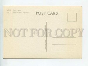 3179581 Giant Panda old postcard