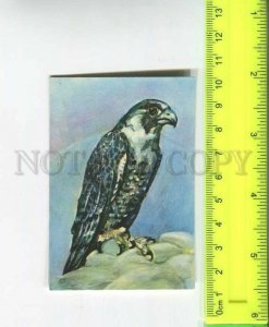 481861 USSR 1983 year Latvia Falcon Original old Pocket CALENDAR