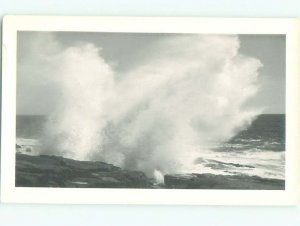 Old rppc NATURE SCENE Great Postcard AB0513