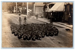 c1910's Hogs Pigs Farm Roundup Main Street Farmer Boy Stores RPPC Photo Postcard