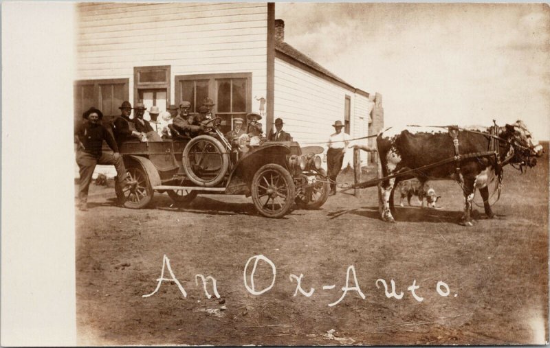 An Ox Auto Automobile Oxen People Dogs Unknown Location Real Photo Postcard G27