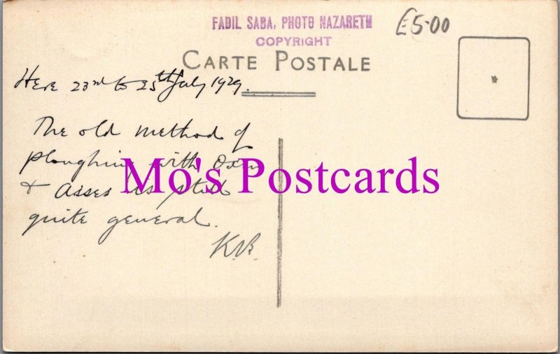 Agriculture Postcard - Nazareth Ploughing With Oxen and Asses   HM10A