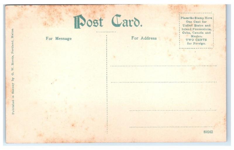 Early 1900s The Old MS Mount Washington Paddle Steamer Postcard DESTROYED 1939