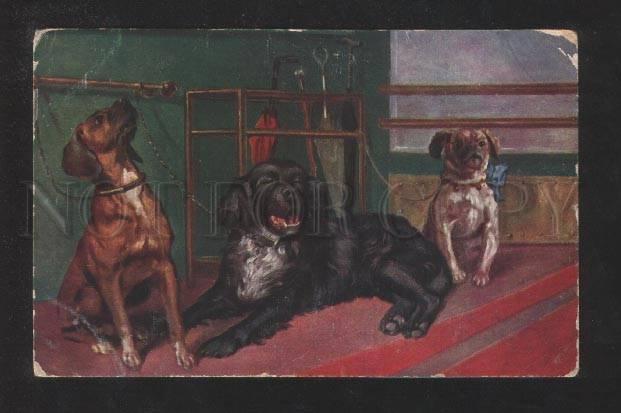 070396 Charming PUG Dogs Etc Vintage Color PC