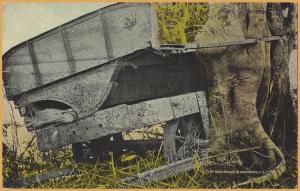 Panama Canal Zone-French abandoned railcar, left in 1888, with tree growing init