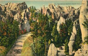 The Needles Highway Black Hills South Dakota SD Postcard