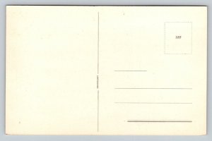 Rio de Janeiro   Brazil   Copacabana  Postcard