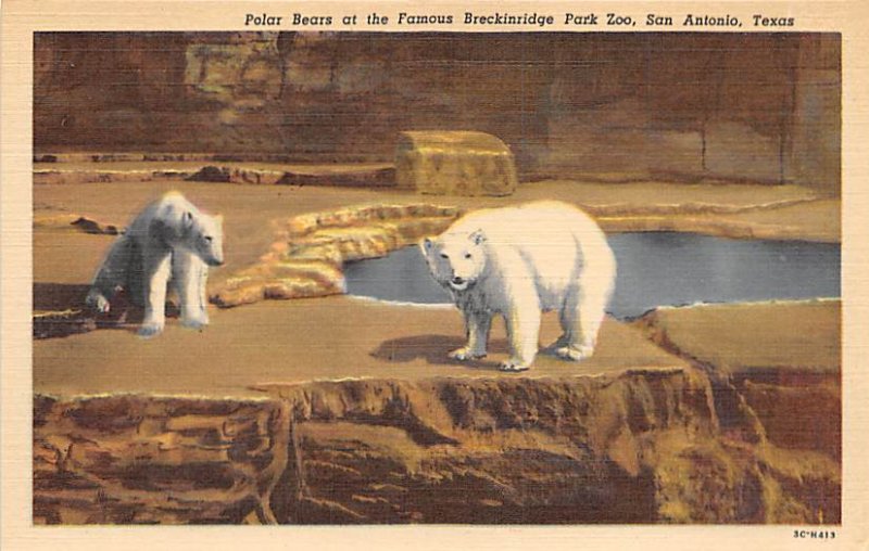 Polar Bears Brackenridge Park  - San Antonio, Texas TX  