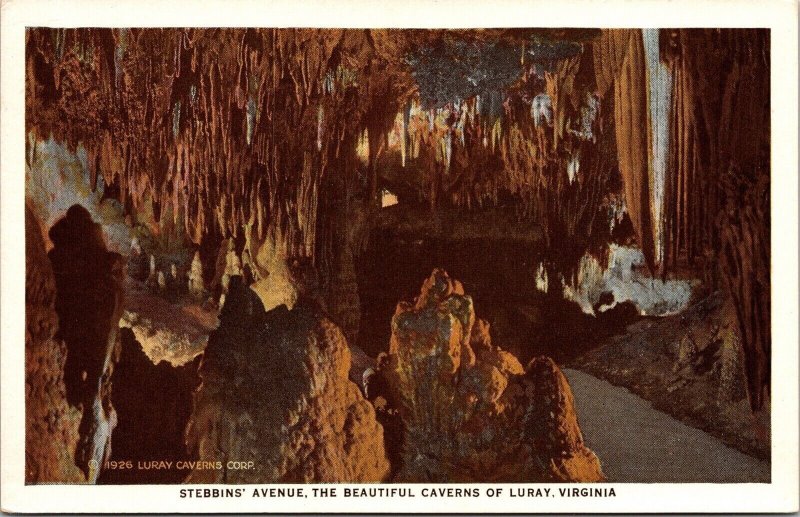 Stebbins Ave Caverns Luray Virginia VA WB Postcard UNP VTG Marken Bielfeld 