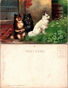 Dogs (33065