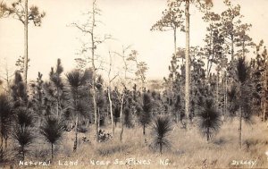 Natural Land near South Pines, Real Photo - South Pines, North Carolina NC