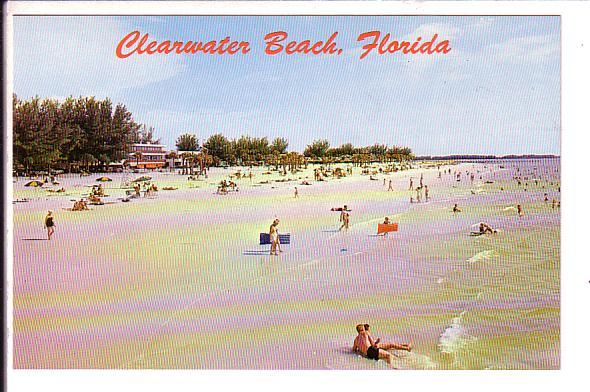 People Swimming on the Beach, Clearwater, Florida