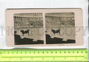 481300 Spain bullfight bullfighters and bull Vintage Maksim Miscow STEREO PHOTO