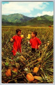 Postcard Children w Field Ripe Pineapple - Hawaii