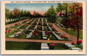 Winston Salem North Carolina 1940s Postcard Moravian Graveyard Equal Dead