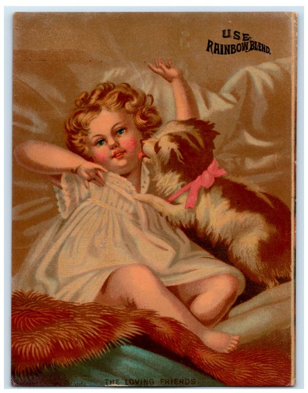 1880s F. Sutton & Co. Rainbow Blend Java & Mocha Coffee Adorable Dog & Girl #6H