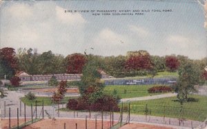 New York City View Of Pheasants Aviary And Wild Fowl Ponde New york Zoologica...