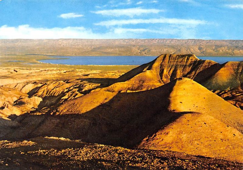 The Dead Sea from the hills of Judea Israel Unused 