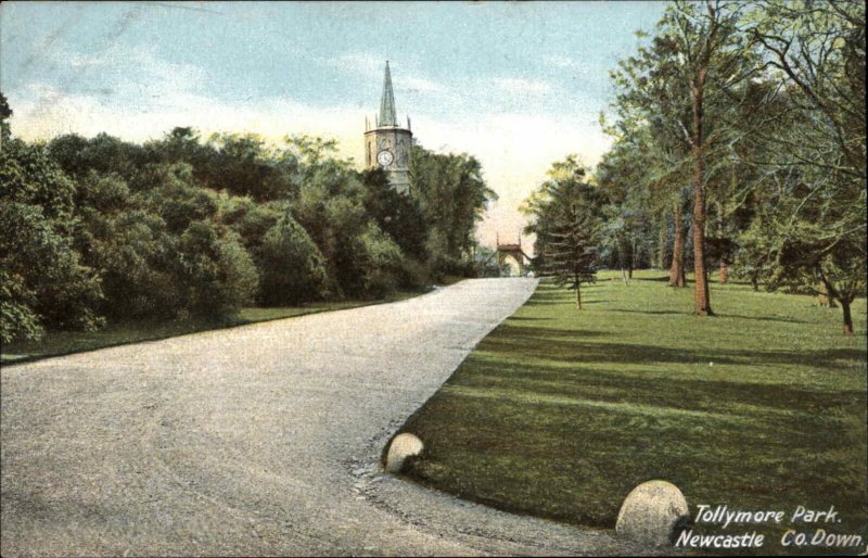 Newcastle Ireland Tollymore Park c1910 Vintage Postcard