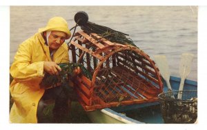 MA - Cape Cod. Lobster Fisherman