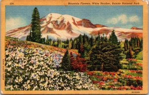 Washington Rainier National Park Mountain Flowers White Heather Curteich