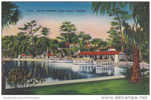 Boat Docks At Silver Springs Florida