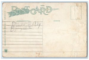 c1920's Hillside Wyoming New York Antique Unposted FR Tillotson Postcard 