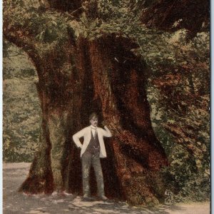 c1900s Klampenborg, Denmark 1000 Year Old Oak Tree Man in Period Dress A351