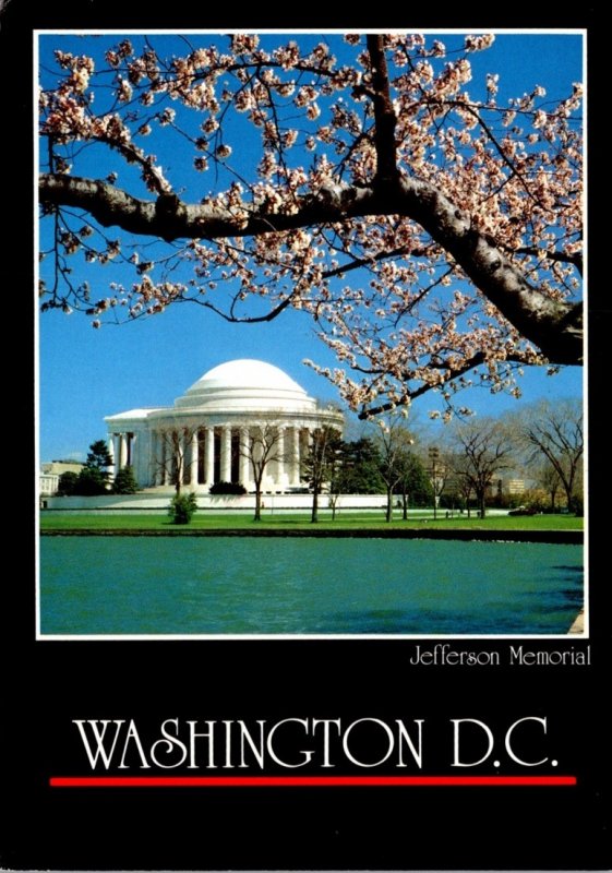 Washington D C Jefferson Memorial At Cherry Blossom Time 1987