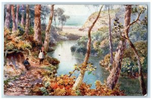 c1910 Bournemouth Branksome Chine Dorset England Oilette Tuck Art Postcard