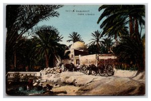 Marabout dans l'Oasis Tunisia  UNP DB Postcard Q25