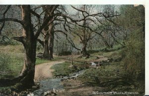 Somerset Postcard -  In Cloutsham Valley - Minehead - Posted 1912 - TZ11164
