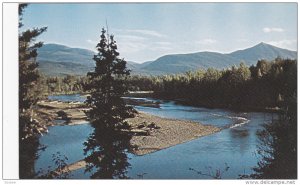 Pine River, PINE VALLEY, British Columbia, Canada, 40-60's