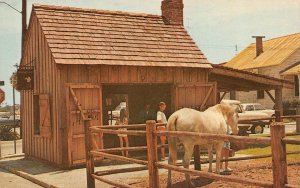 St Augustine, FL Florida  BLACKSMITH SHOP Horse & Barn ROADSIDE Chrome  Postcard
